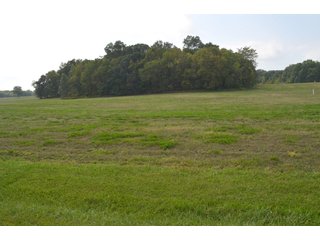 Dekalb County, Indiana Farmland - MAJOR LAND AUCTION - 516+/- ACRES OFFERED IN 18 TRACTS OR COMBINATIONS IN DEKALB COUNTY, INDIANA